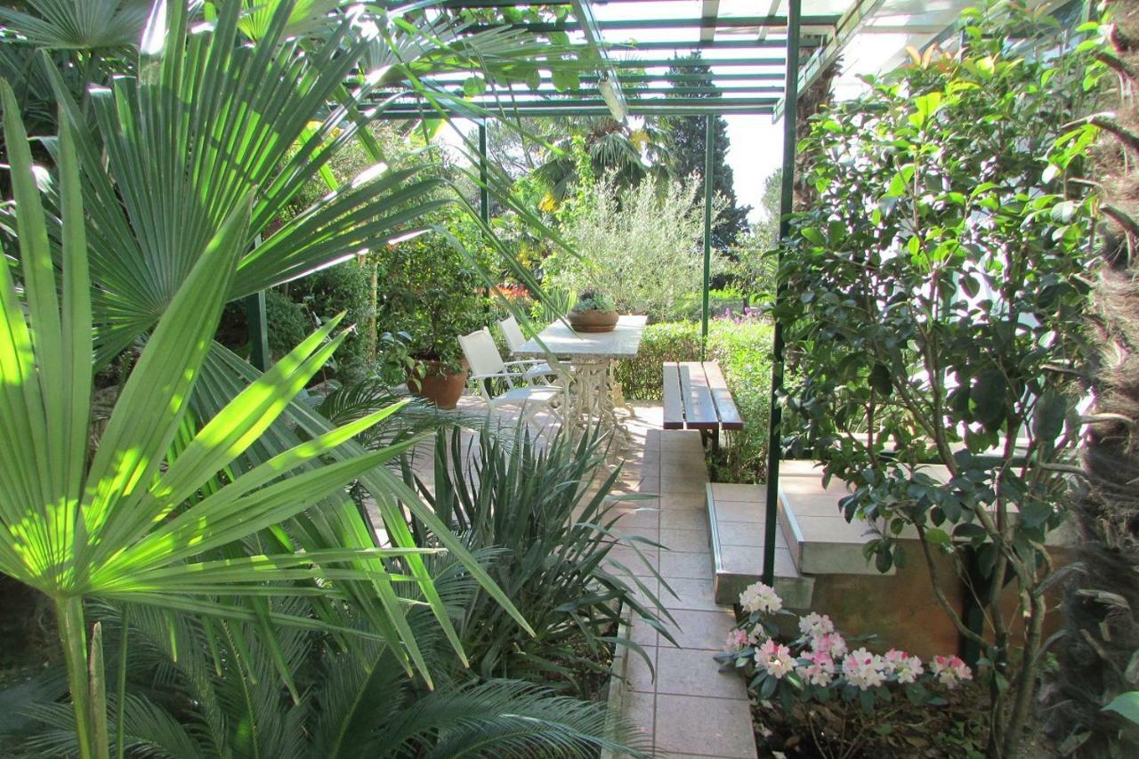 Sunny Garden