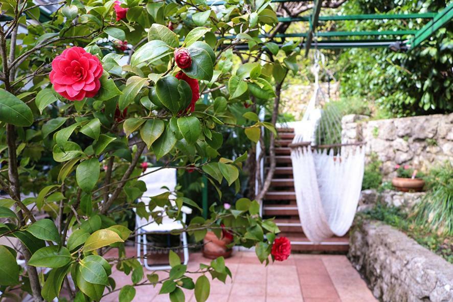 Appartement Sunny Garden *