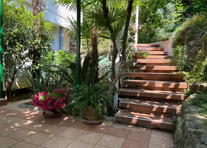Sunny Garden
