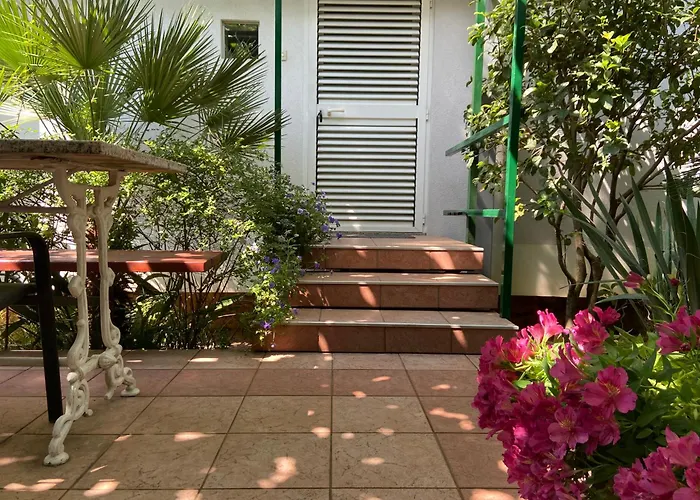 Sunny Garden