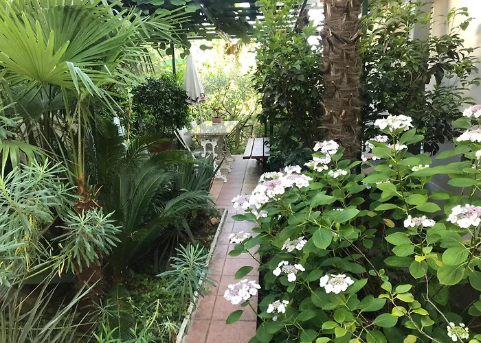 Sunny Garden