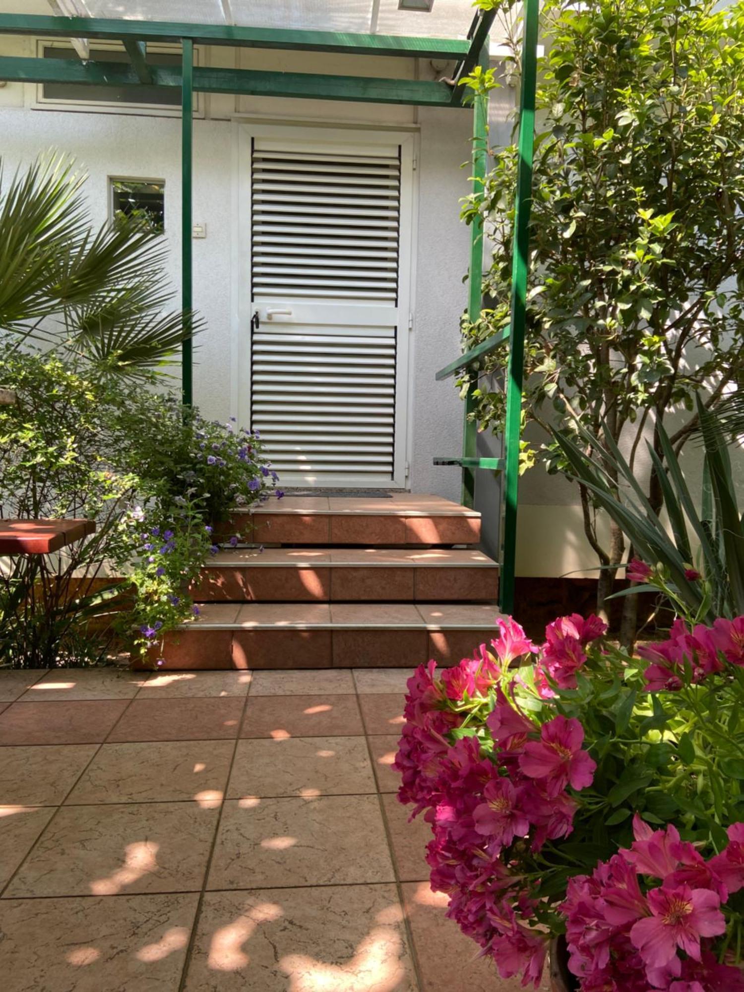 Sunny Garden *
