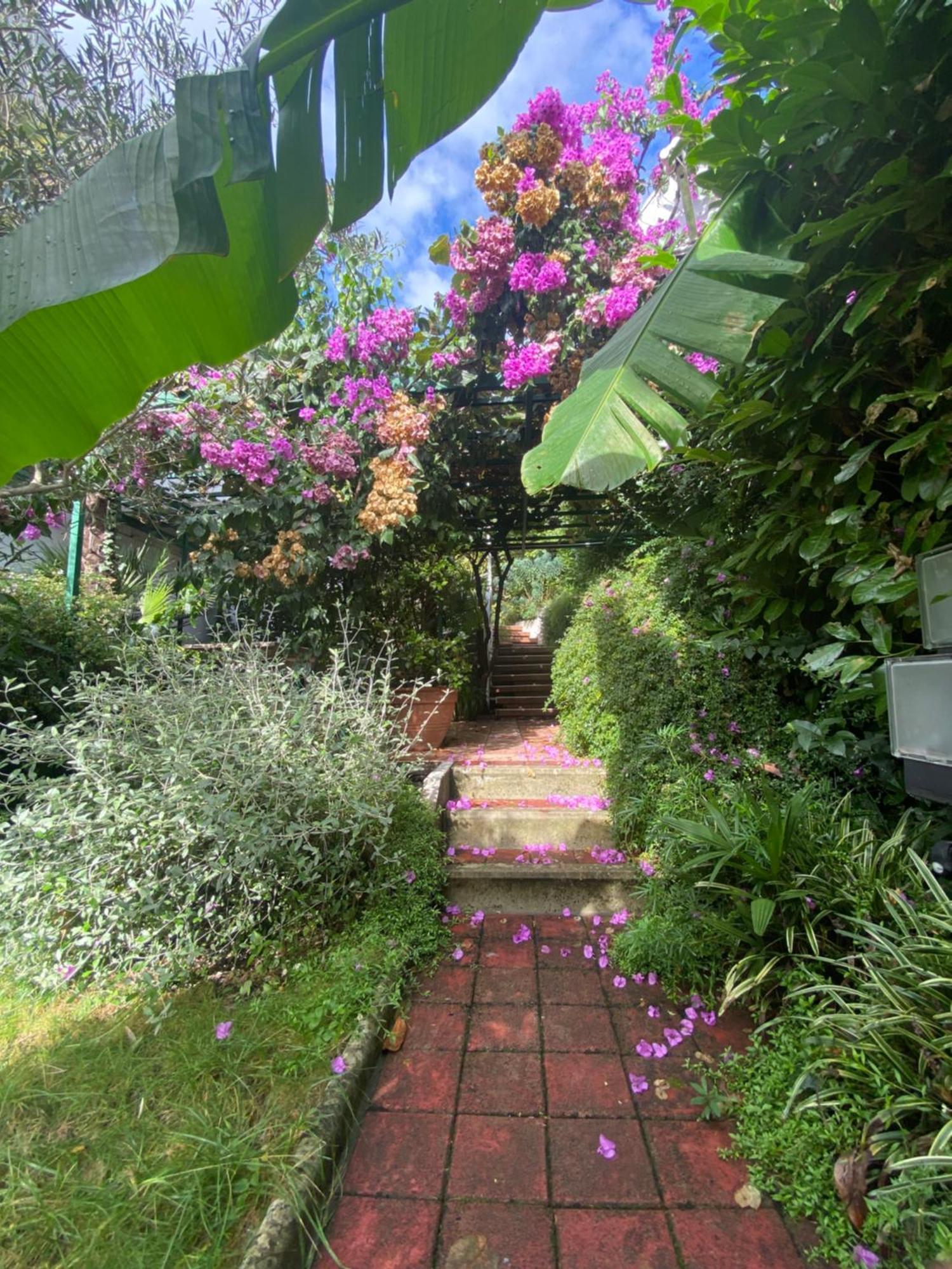 Sunny Garden Opatija